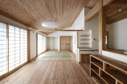 愛工房の杉