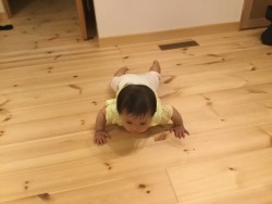 赤ちゃんにも心地いい(^^♪        パインフローリング